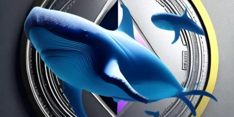 Volume Perdagangan Ethereum Meningkat, Whale ETH Tetap Ambil Posisi Long