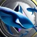 Volume Perdagangan Ethereum Meningkat, Whale ETH Tetap Ambil Posisi Long