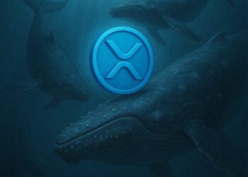 WHales Borong XRP Selagi Harga Turun