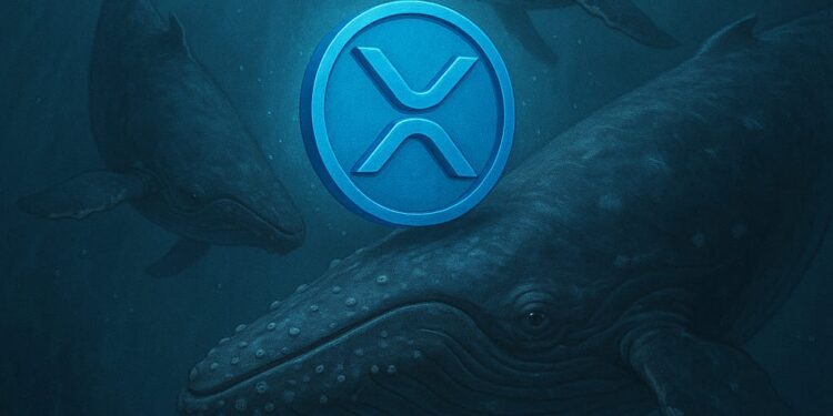 WHales Borong XRP Selagi Harga Turun