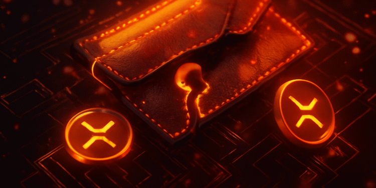 Brandon Laroque, ZachXBT, XRP, Ellipal, Huione, cyber laundering, kripto