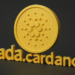 Cardano .ada dan .cardano
