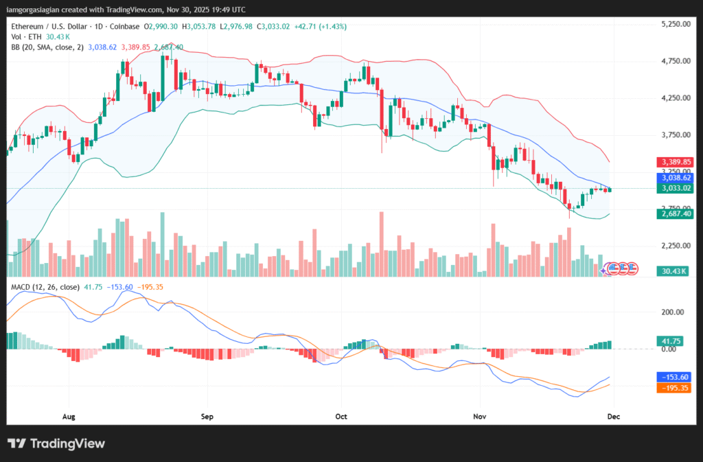 Sumber : TradingView