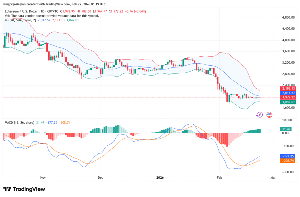 Grafik Harga Ethereum (ETH). Sumber: TradingView