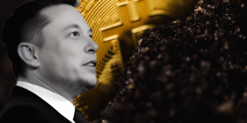 Elon Musk Bitcoin