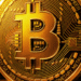 Bitcoin Treasury