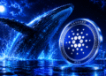 Cardano Dorman Wallet