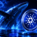 Cardano Dorman Wallet
