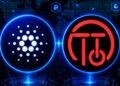 Taptools Shutdown