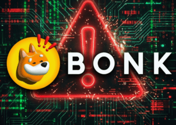 Serangan pada BONK DAO