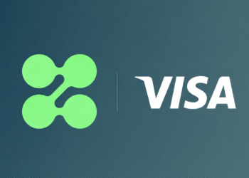 Visa X ZeroHash