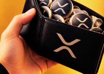 Jumlah XRP untuk pemegang top 1% XRP semakin banyak