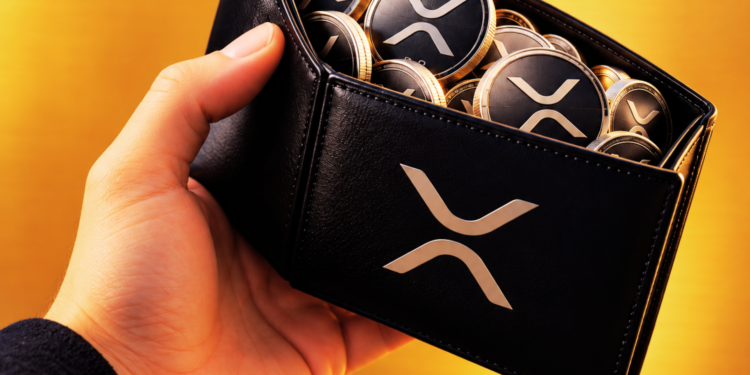Jumlah XRP untuk pemegang top 1% XRP semakin banyak