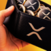 Jumlah XRP untuk pemegang top 1% XRP semakin banyak