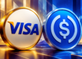 Visa Gandeng USDC